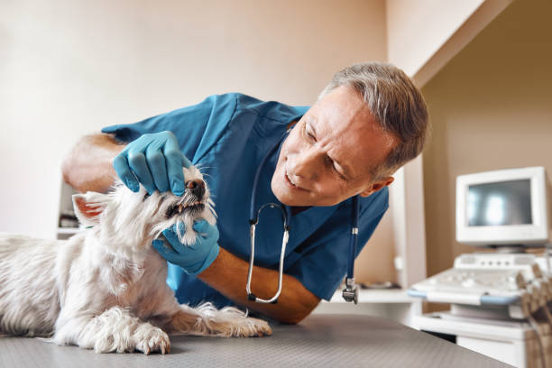 Best Urgent Dental Care in Barbourville, KY